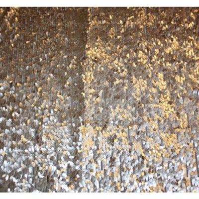 Image of Champagne Teardrop